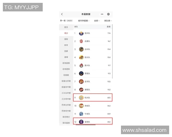 杭州排球队在钻石联赛积分榜上以99分稳居第一名展现强劲实力