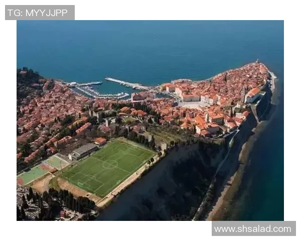 长发足球女星大盘点她们的风采与魅力尽显球场之上